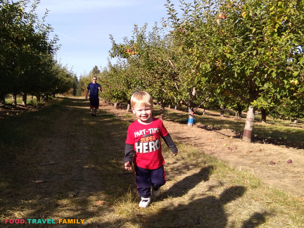 Apple Picking Day