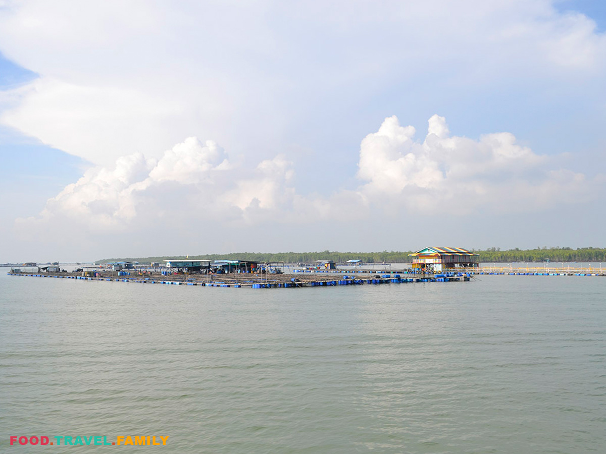 Floating fish farm