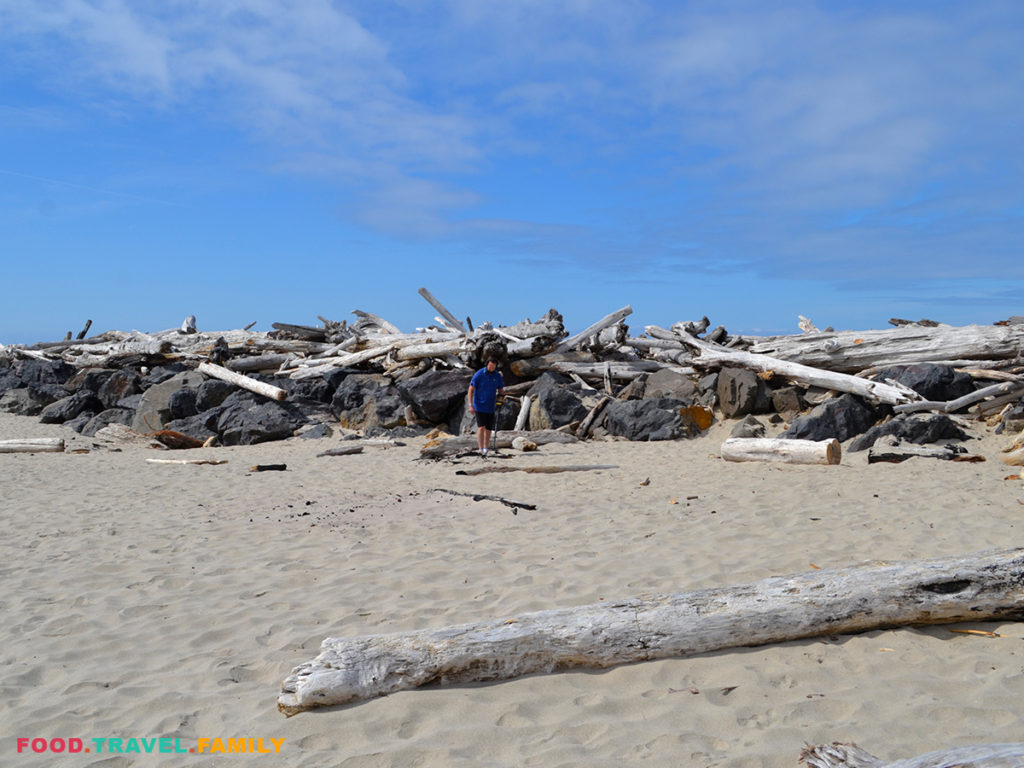 Treasure Hunt at Nehalem Bay