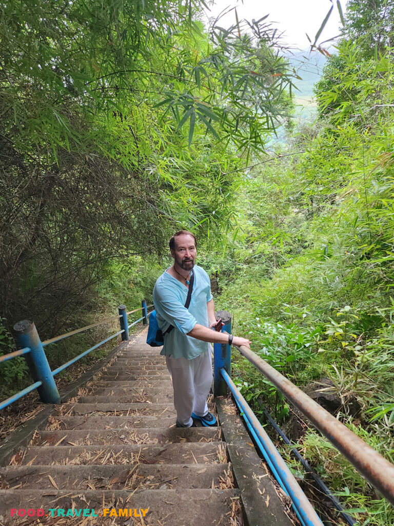 Shane on the steep steps with surrounding bamboo trees